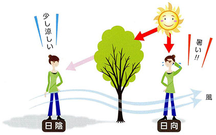 日陰は輻射熱の一部がカットされている